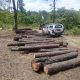 Onze pessoas são presas por desmatamento ilegal em Camaçari