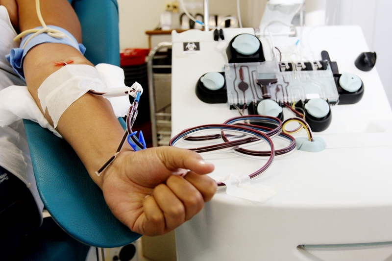 “Sua Doação Toca o Coração”: Hemoba terá programação especial no Dia Nacional do Doador de Sangue