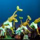 Balé Folclórico da Bahia faz apresentações gratuitas em Camaçari