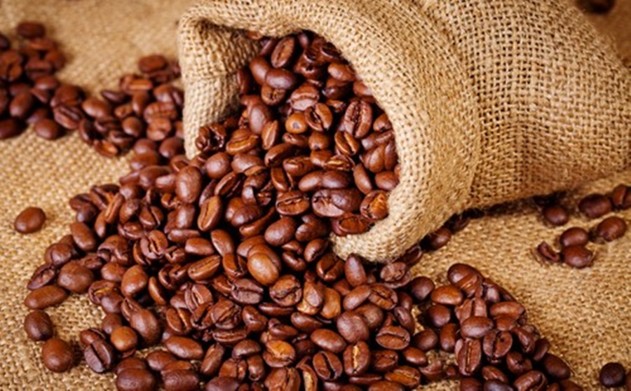 Com mais de três milhões de toneladas, produção de café em 2018 é considerada maior da história