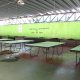 Campeonato de tênis de mesa deve reunir 50 atletas neste fim de semana em Camaçari