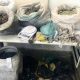 Ação policial localiza 60 kg de maconha enterrados em Vila de Abrantes