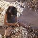 “Repúdio ao trabalho infantil: uma outra história a ser contada”, por Rogério Souza