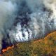 Amazônia em chamas: Salvador terá protesto a favor da preservação da floresta