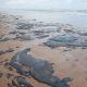 Manchas de óleo chegam às praias da Bahia; nove estados do Brasil foram afetados