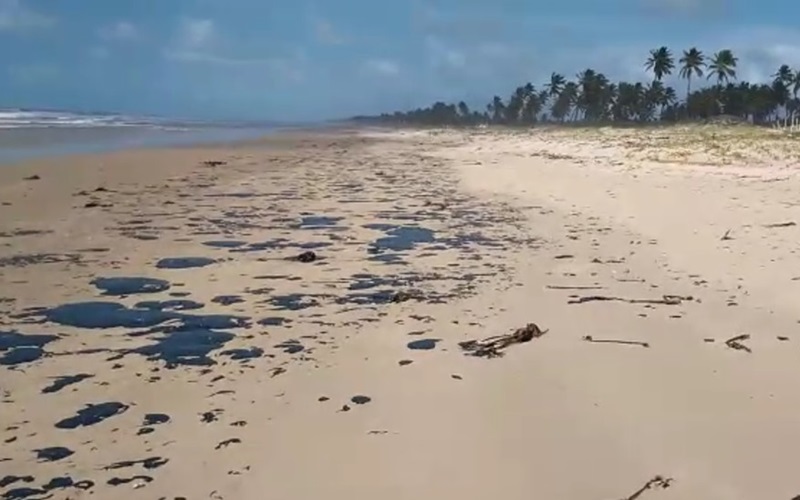 Óleo que atinge praias do Nordeste chega à Praia do Forte