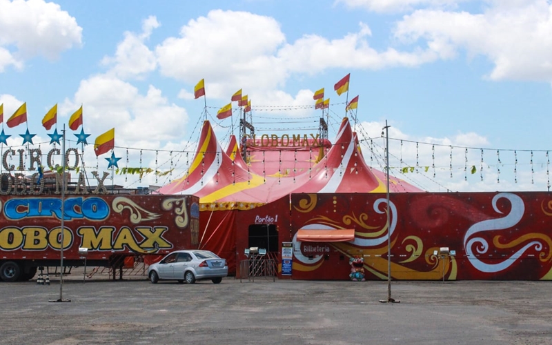Circo Globo Max chega em Camaçari com muitas atrações; confira valor do ingresso