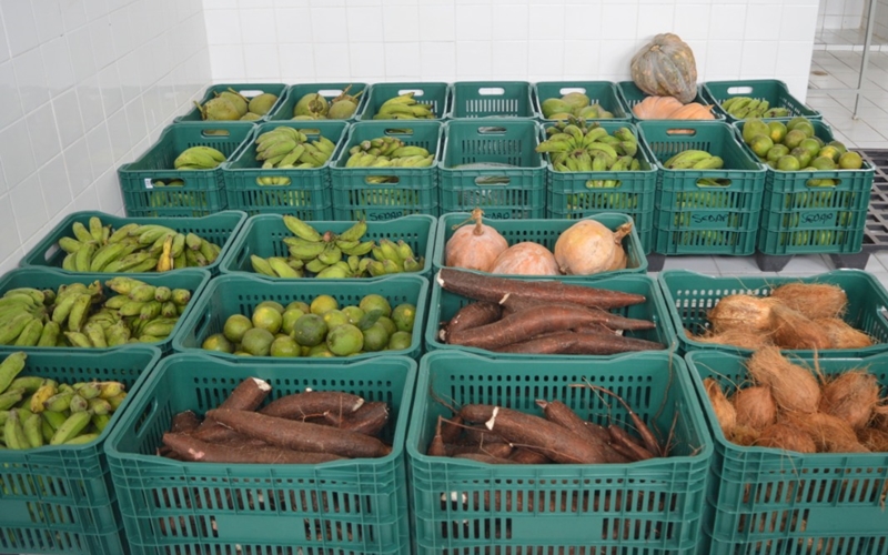 Programa de Aquisição de Alimentos volta a ser executado em Camaçari