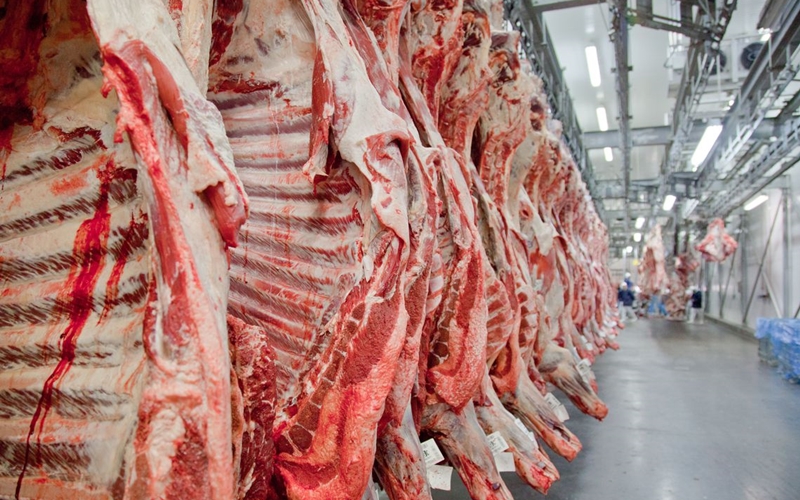 Com alta dos preços da carne, inflação deve ficar em 0,81% em dezembro