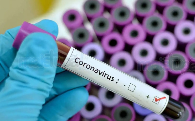 Na Bahia há 104 casos de coronavírus; 14 pacientes foram curados