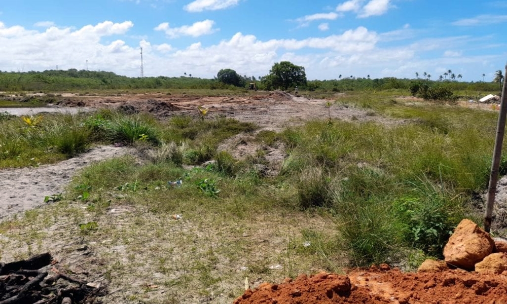 Crime ambiental é flagrado em manguezal do Rio Jacuípe