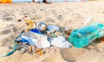 Plástico nos oceanos pode chegar a 600 milhões de toneladas em 2040