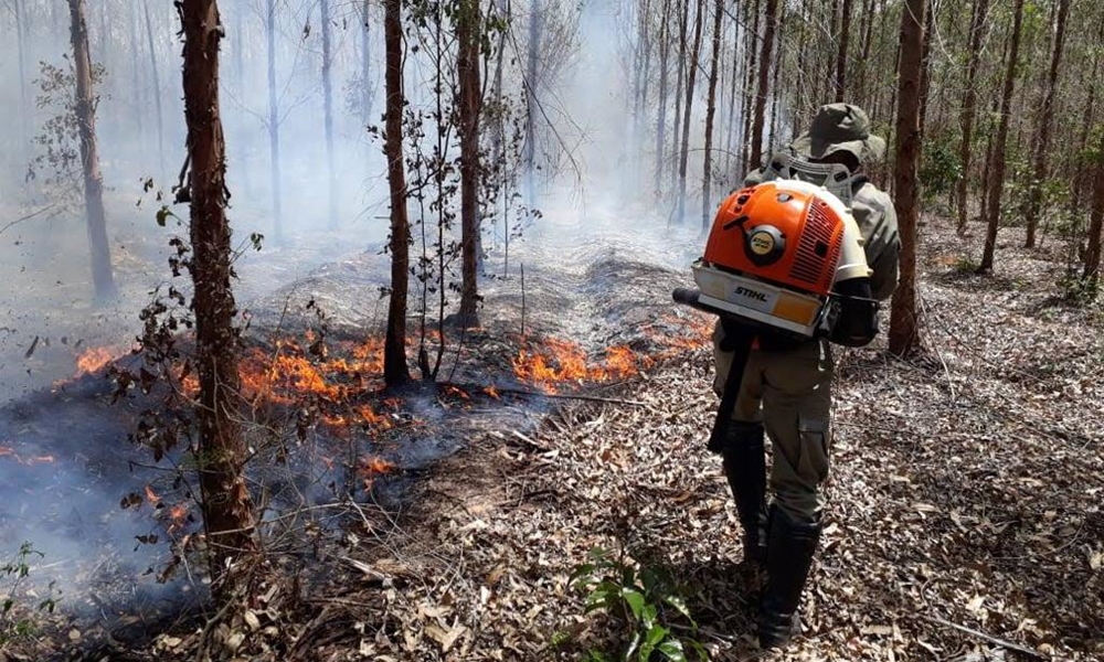 Bracell lança campanha de combate a incêndios florestais em Camaçari