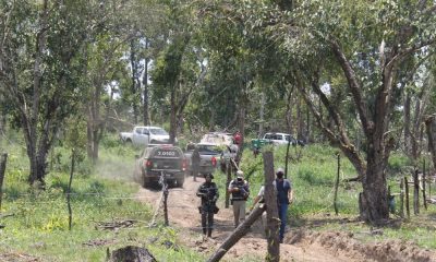 Força-tarefa combate invasão em anel florestal no Polo de Camaçari