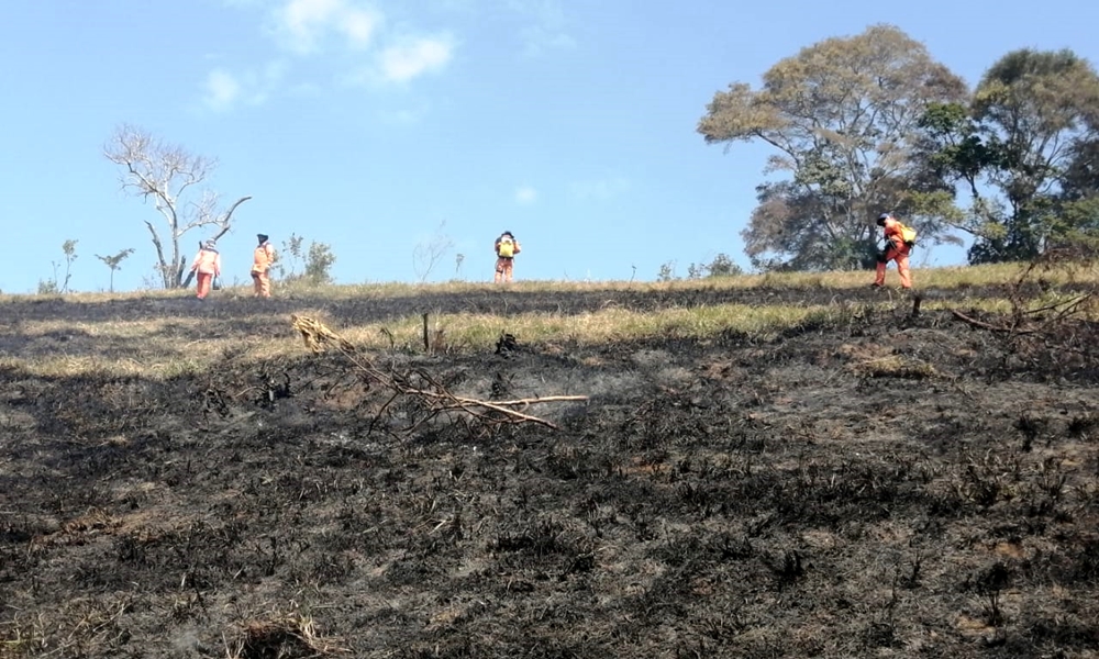 Defesa Civil combate incêndio na Cascalheira em Camaçari