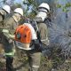 Amigos da Floresta: ação realiza atividades em Camaçari para reduzir área afetada por incêndios