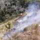 Camaçari registra mais um foco de incêndio em vegetação