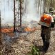 Instituições se unem para combater incêndios florestais na Bahia
