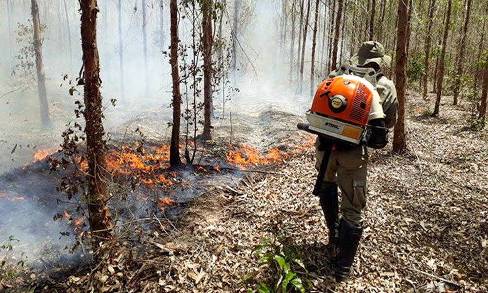 Instituições se unem para combater incêndios florestais na Bahia