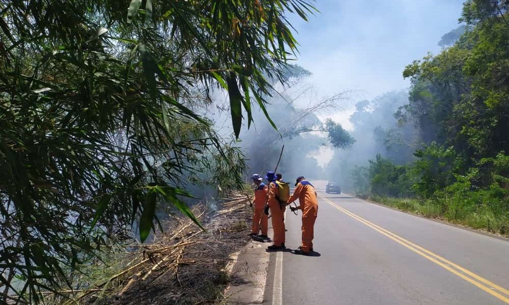 Bambuzal na Via Cascalheira é atingido por incêndio