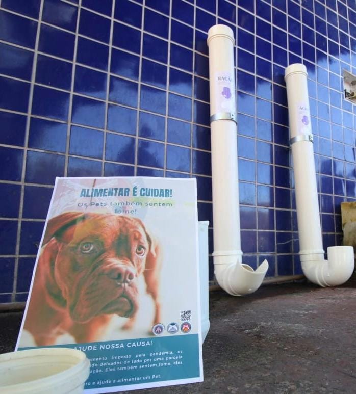 36ª CIPM inicia campanha solidária de amparo a animais abandonados em Dias d’Ávila