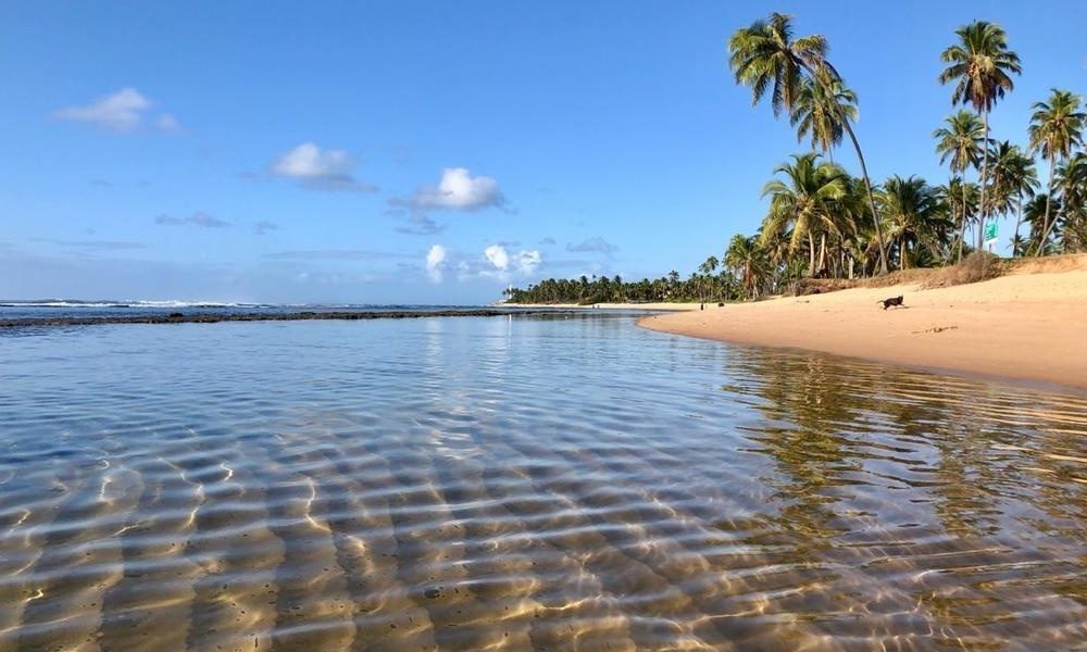 Novo decreto autoriza reabertura de praias em Mata de São João