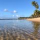 Novo decreto autoriza reabertura de praias em Mata de São João