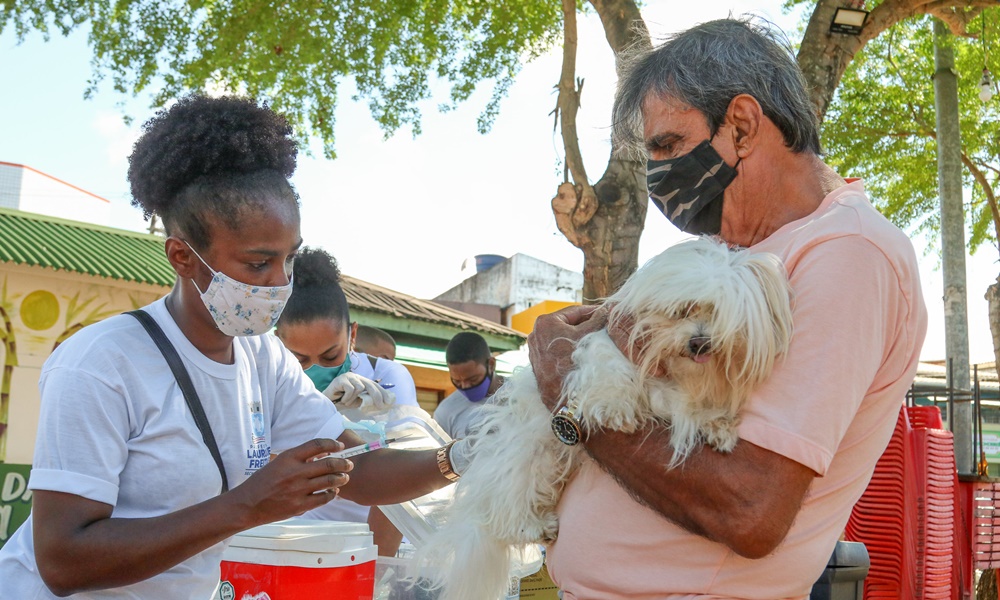 Lauro de Freitas realiza vacinação animal e testagem de doenças neste sábado