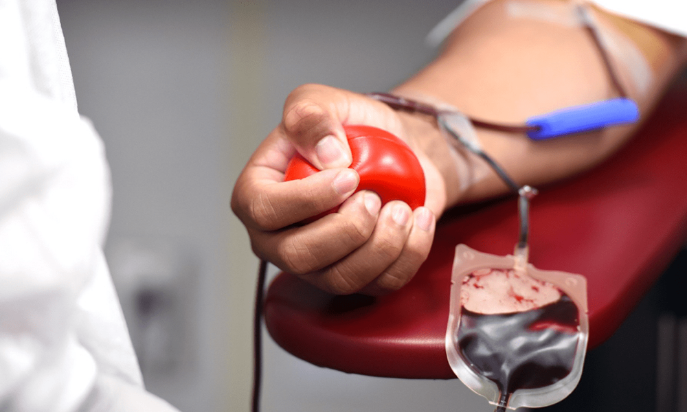Dia Mundial do Doador de Sangue alerta para importância da doação