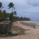 Construção de muro na praia de Busca Vida pode prejudicar desova de tartarugas, denuncia Comam