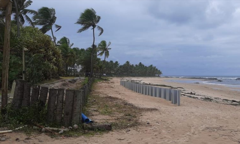 Construção de muro na praia de Busca Vida pode prejudicar desova de tartarugas, denuncia Comam