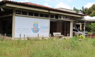 Projeto 'Mais Futuro' abre inscrições para estudantes de universidades estaduais da Bahia