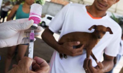 Ponto de vacinação antirrábica ficará no Salvador Norte Shopping nos próximos dois fins de semana