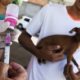 Campanha de vacinação antirrábica em Salvador é prorrogada até dia 30