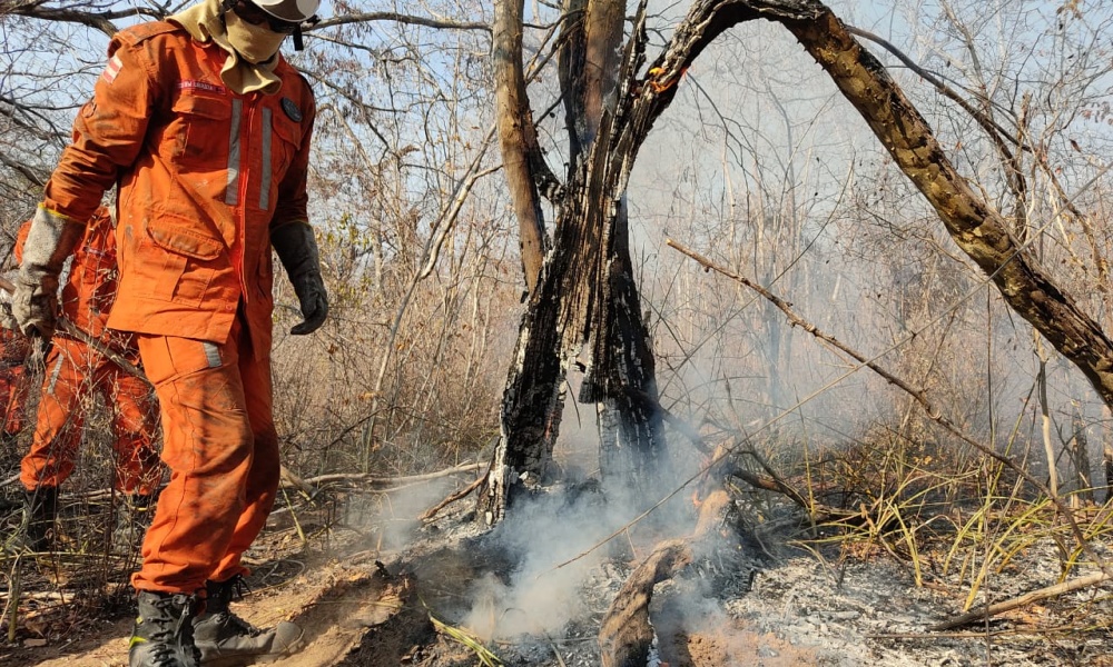 Em chamas: dez cidades baianas sofrem com incêndios