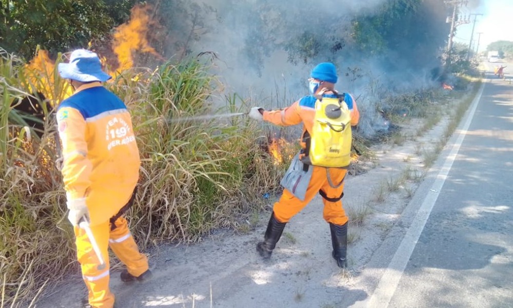 Defesa Civil alerta para riscos de incêndios florestais durante a alta estação