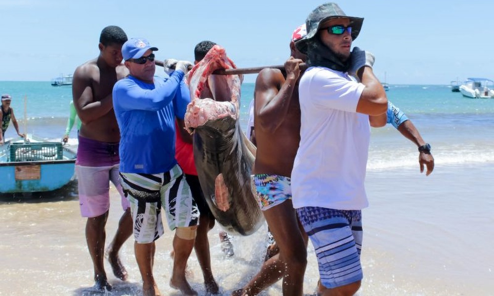 Feira de Pescadores e Marisqueiras de Itacimirim ocorre neste fim de semana