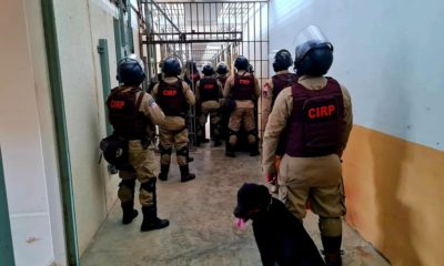 Polícia Militar e Seap apreendem 18 celulares, acessórios e drogas no presídio de Mata Escura