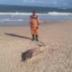 Filhote de golfinho é encontrado morto na praia de Itacimirim