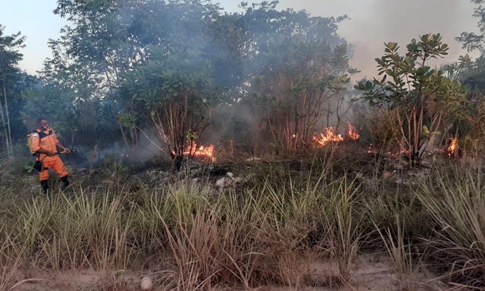 Defesa Civil alerta para aumento de focos de incêndio em Camaçari