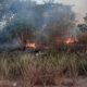 Defesa Civil alerta para aumento de focos de incêndio em Camaçari