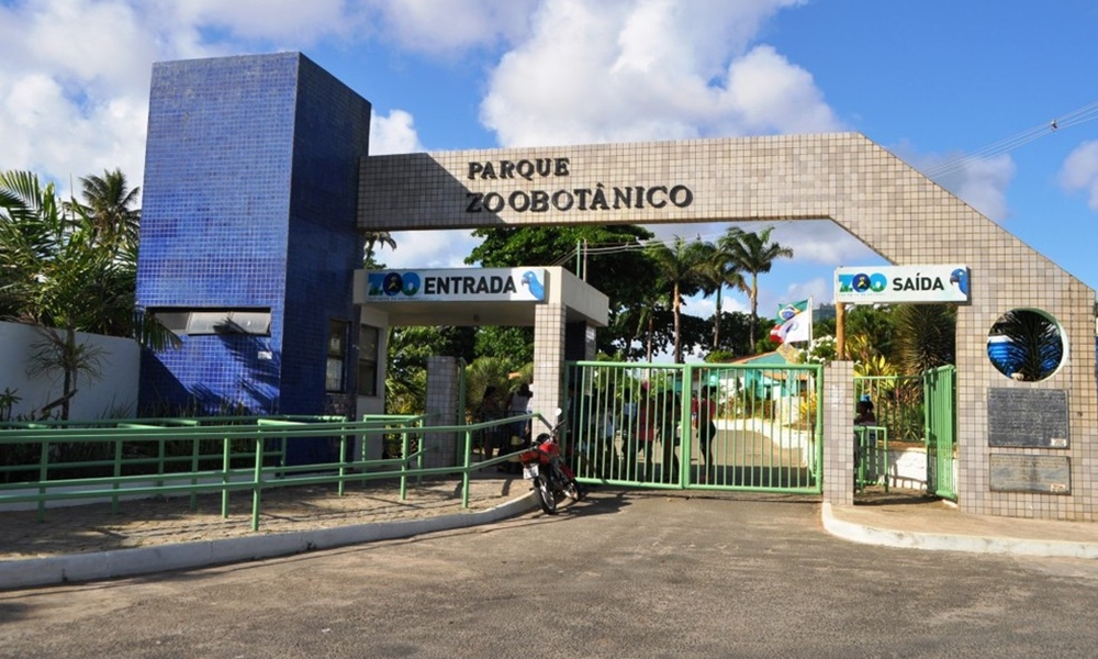 Zoológico de Salvador reabre para visitação depois de mais de um ano fechado