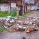 Prefeitura explica como funciona descarte de entulho e coleta de lixo em Camaçari