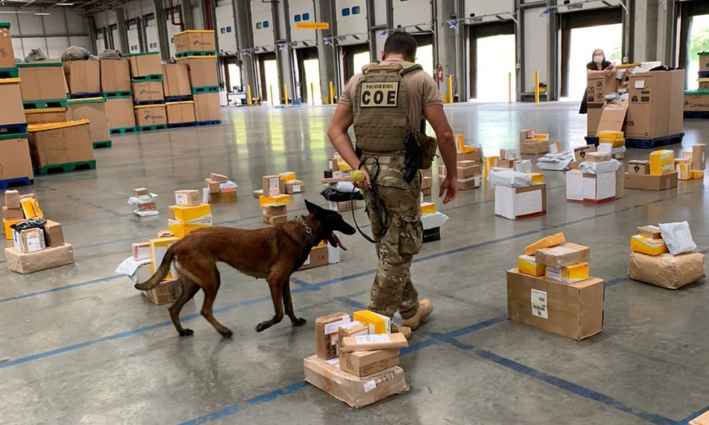 Com apoio de cães farejadores, 10 encomendas com drogas são apreendidas na central dos Correios na Via Parafuso