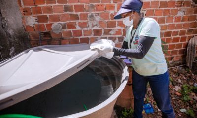 Camaçari: Sesau alerta população para cuidados contra proliferação do Aedes aegypti