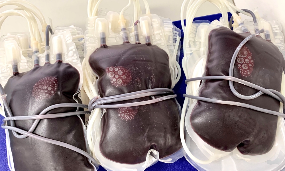 Hemoba de Camaçari está com estoque crítico e adere a campanha de doação de sangue