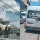 Vídeo: veículo pega fogo no bairro Parque Verde em Camaçari