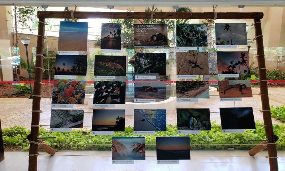 Concurso de Fotografias do Condomínio Busca Vida retrata biodiversidade do litoral