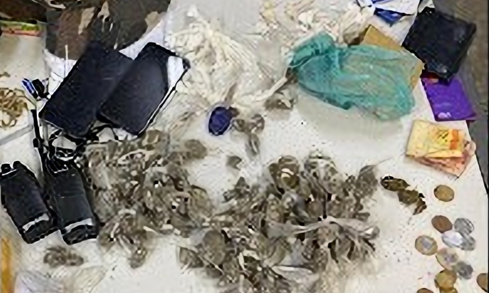 Mais de 200 porções de drogas são encontradas em mochilas em Areias