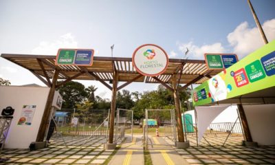 Horto Florestal sedia segunda edição do Festival da Sustentabilidade em Camaçari